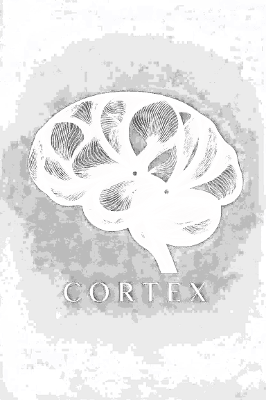 Cortex